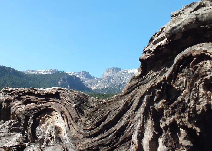 Calar De La Sima