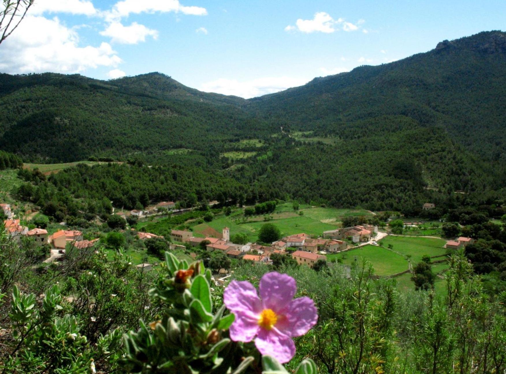 Holiday home Calar De La Sima Yeste