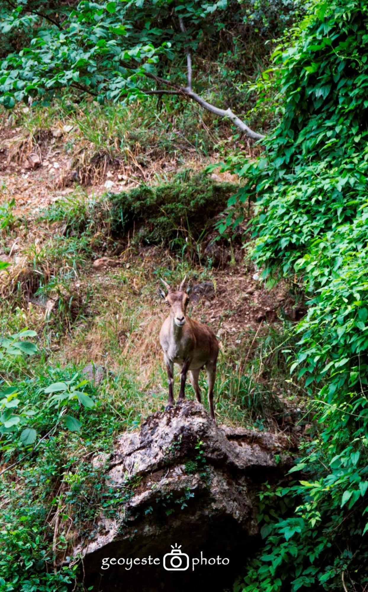 Calar De La Sima